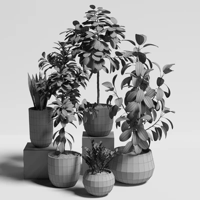 plants set 10 — Ver 4