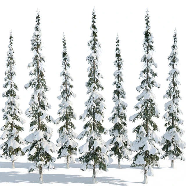 Winter taiga spruce 11m (Spruce). — Descargar