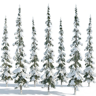 Winter taiga spruce 11m (Spruce). — Ver 4