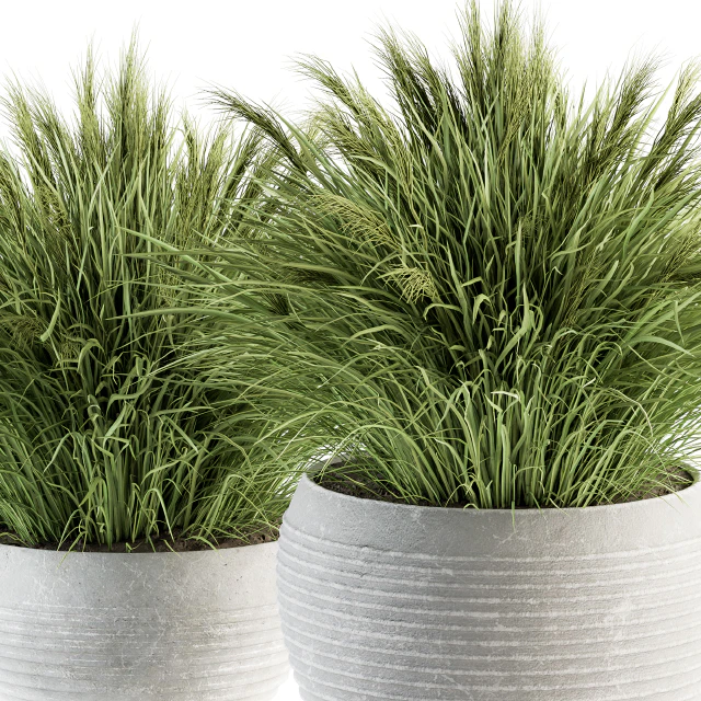 Outdoor Plant Set 196 - Green Grass in Pot — Descargar