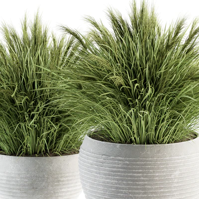 Outdoor Plant Set 196 - Green Grass in Pot — Ver 5