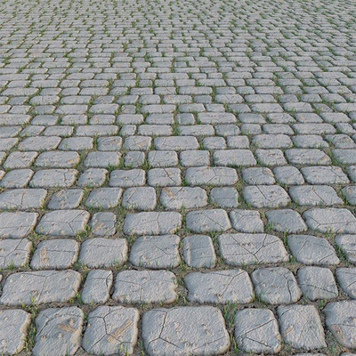 Paving Stone and Grass — Ver 1