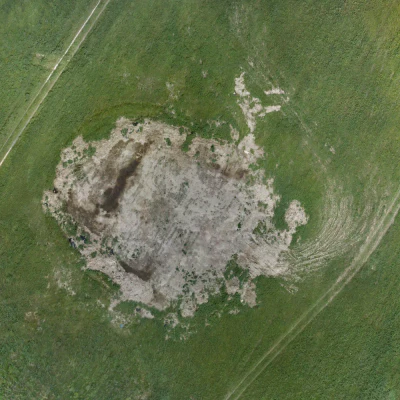 field summer 002 — Descargar