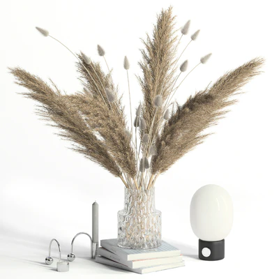 Lagurus, pampas grass and Co — Ver 1
