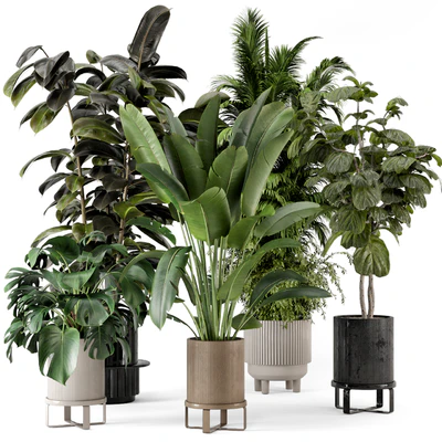 Indoor Plants in Ferm Living Bau Pot Large - Set 734 — Ver 1