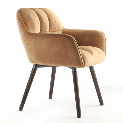 Chair Brian Zamsha Beige — Ver 6