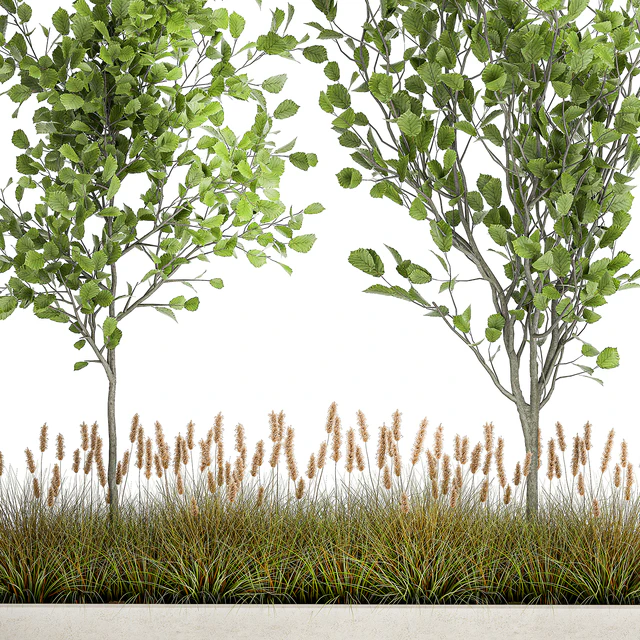 Collection of plants in a pot with hazel, linden and reed trees, bushes. 1066 — Descargar