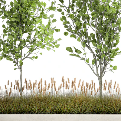 Collection of plants in a pot with hazel, linden and reed trees, bushes. 1066 — Ver 5