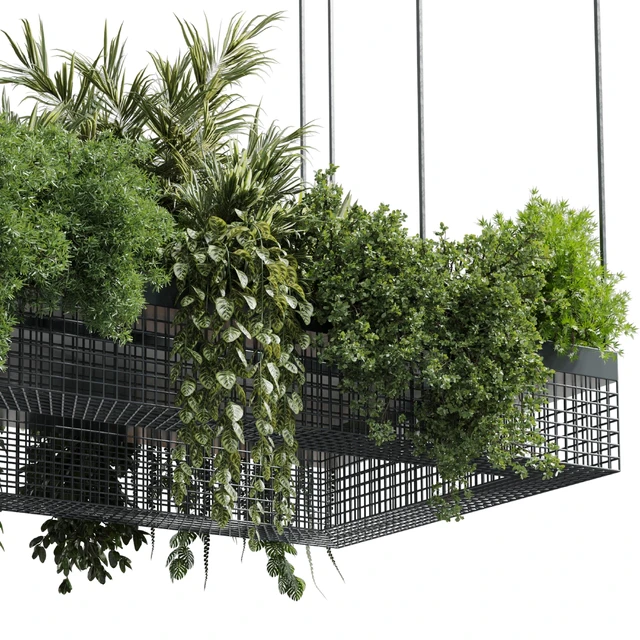 hanging plants - indoor plant set 447 Rectangle pendant pot vray — Скачать