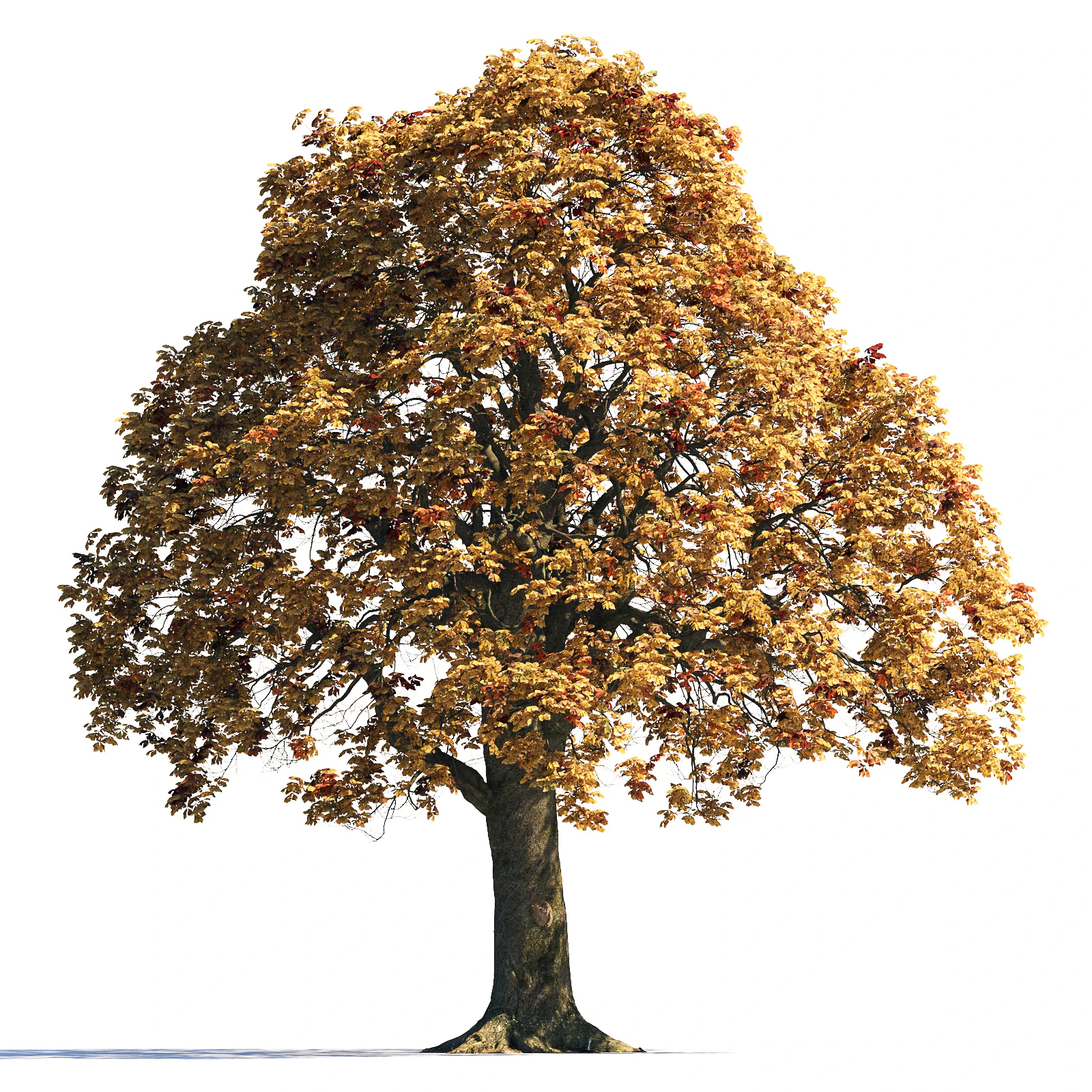 018 autumn — Descargar