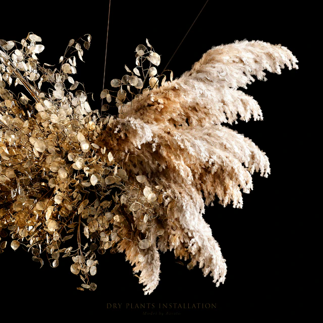 Dry plants installation — Descargar