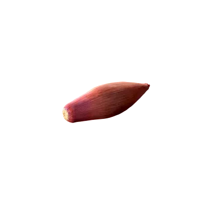 shallot onion 001 — Descargar