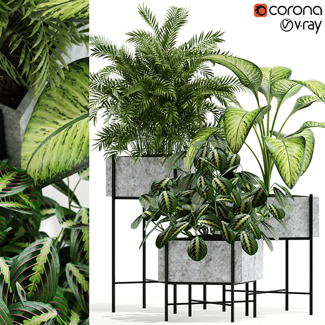 Plants collection 143 Opalo — Скачать