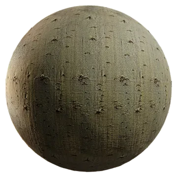 beech bark 004 — Descargar