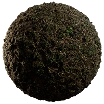scarce grass on damp soil 014 — Скачать