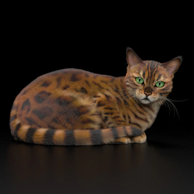BENGAL CAT — Скачать
