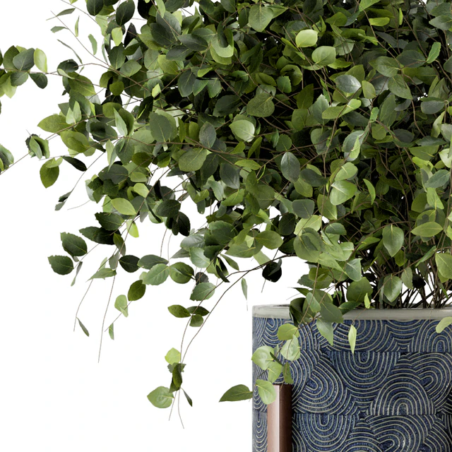Indoor Plants in rusty Concrete Pot - Set 244 — Descargar
