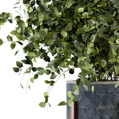 Indoor Plants in rusty Concrete Pot - Set 244 — Ver 6