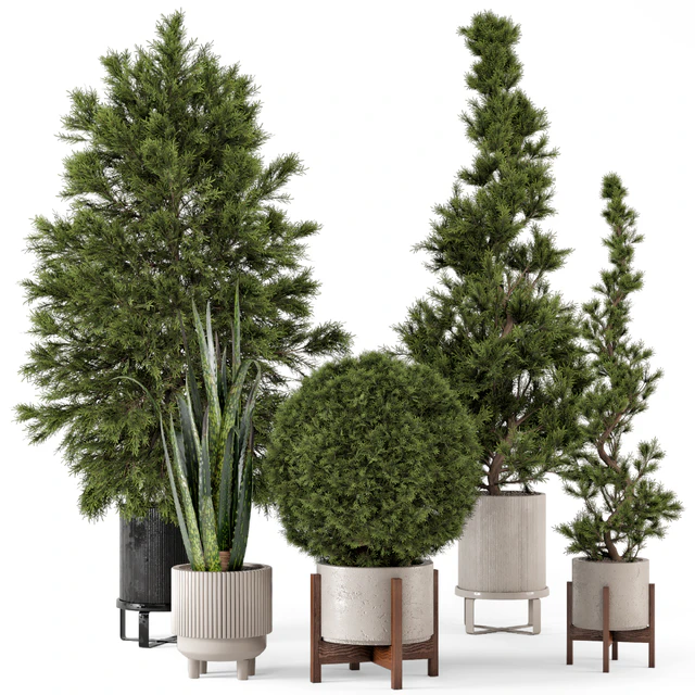 Indoor Plants in Ferm Living Bau Pot Large - Set 364 — Скачать
