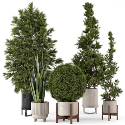 Indoor Plants in Ferm Living Bau Pot Large - Set 364 — Вид 1