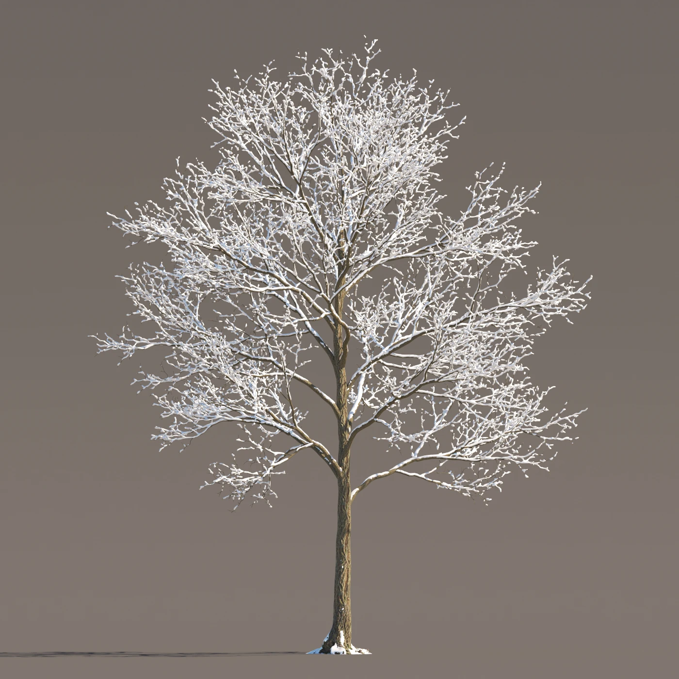 075 winter — Download
