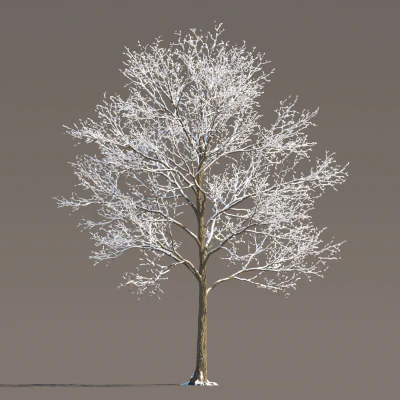 075 winter — download