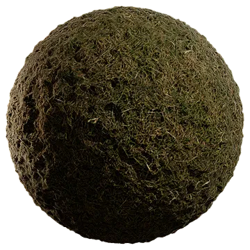lawn grass 003 — Descargar