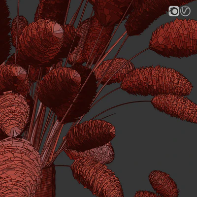 Dry flowers in glass vase 2 — Вид 5