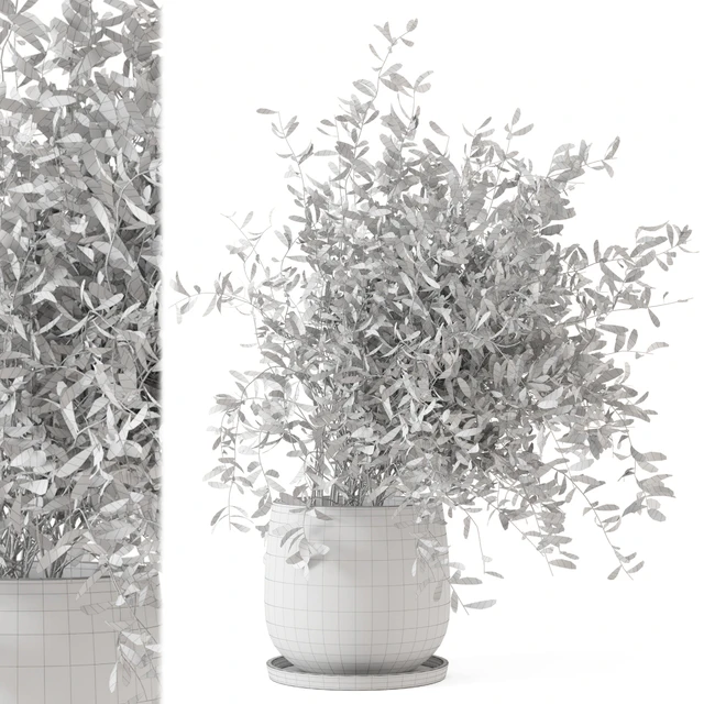 Indoor Plants in rusty Concrete Pot - Set 281 — Descargar