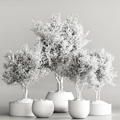 indoor plant stand 61 — Ver 6