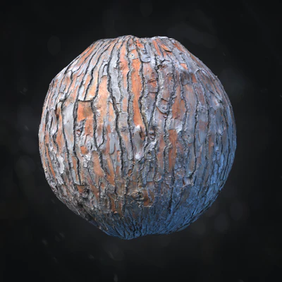pinus pinea bark 013 — Descargar
