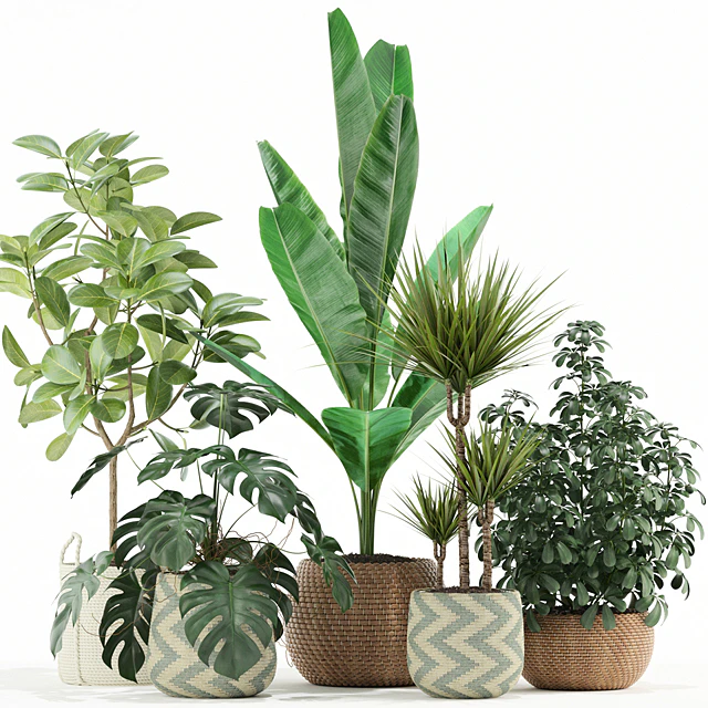 Plants collection 116 — Скачать