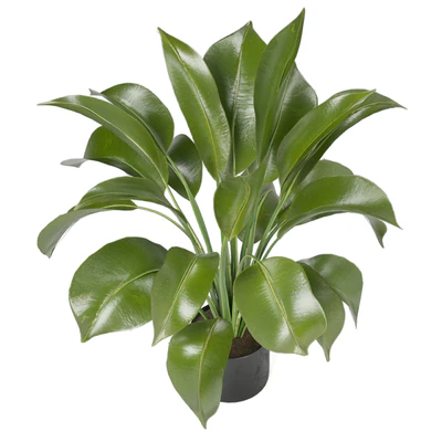 Indoor Plants in Ferm Living Bau Pot Large - Set 136 — Вид 5