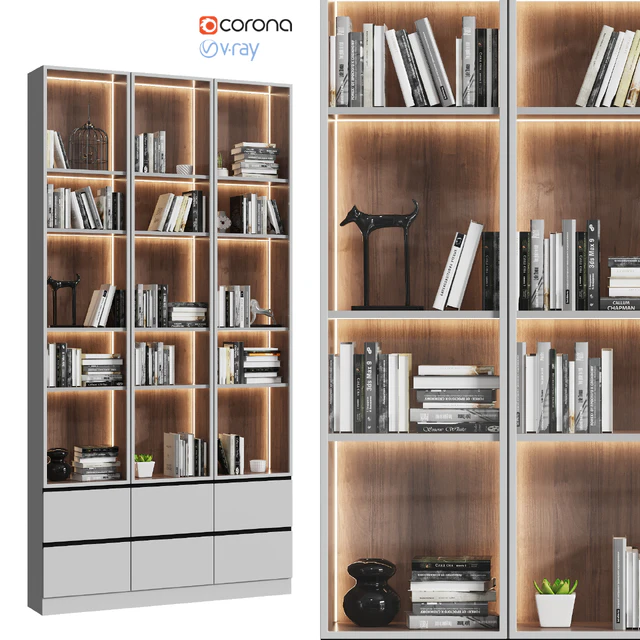 Showcase cabinet with books — Descargar