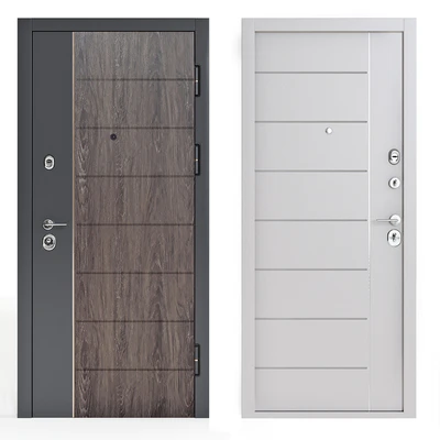 Modern entrance door 2 — Ver 1