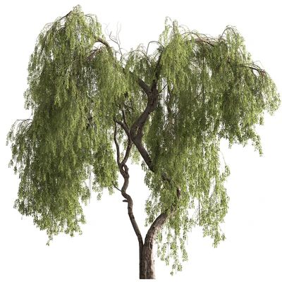 Babylon Willow Tree Set 377 — View 1