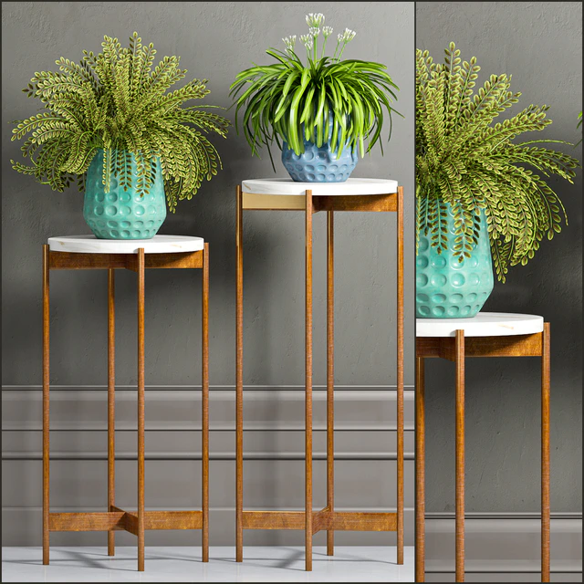 PLANT-40 — Descargar