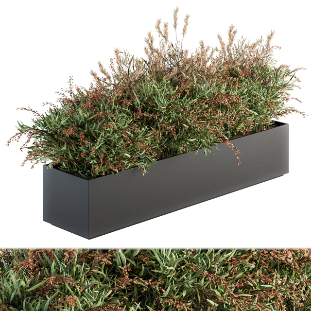 Outdoor Plant Set 166 - Plant Box Bush — Скачать
