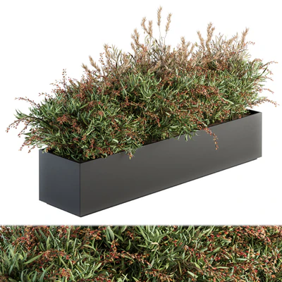 Outdoor Plant Set 166 - Plant Box Bush — Вид 1