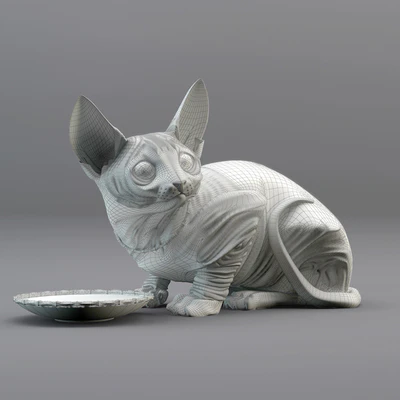 Sphynx cat — Вид 4
