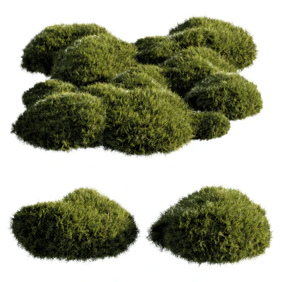 bush outdoor grass 081 — Вид 1