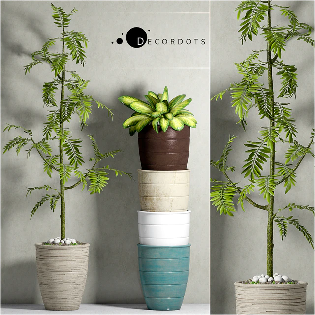 PLANT-41 — Скачать