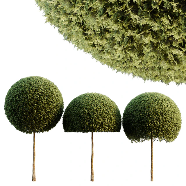 Spherical tree03 — Download