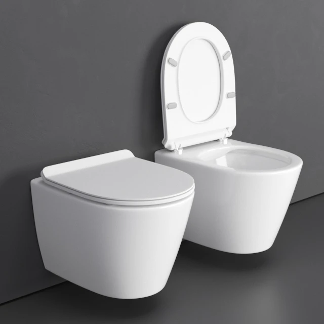 Wall-hung toilet Calipso — Descargar