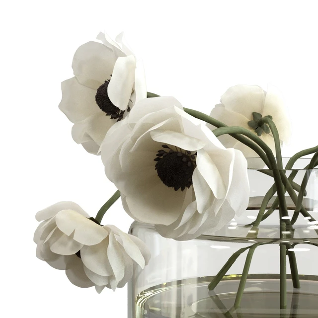 Bouquet of anemones — Descargar