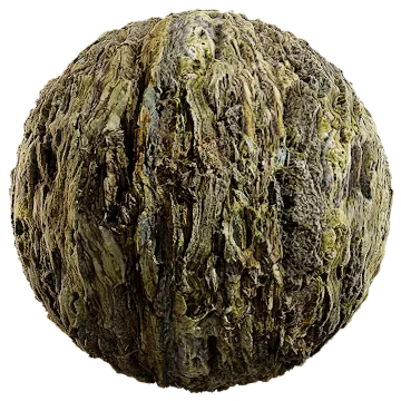 old damaged wood 001 — Скачать