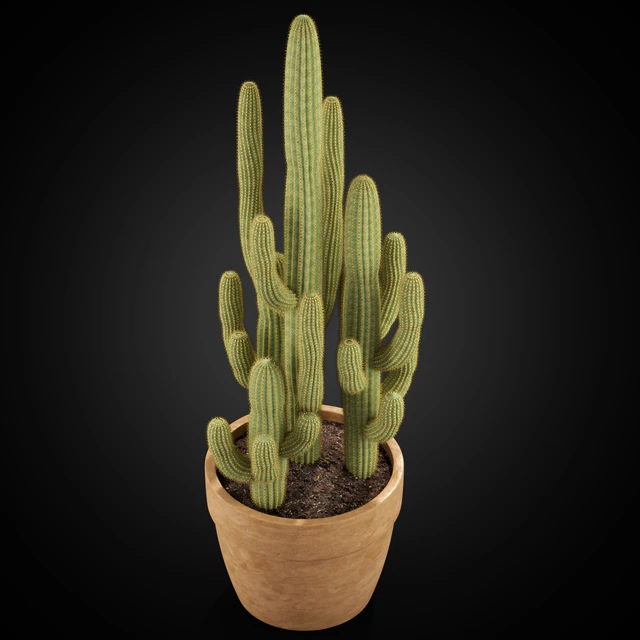 Plants collection 254 — Descargar