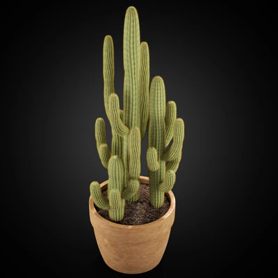 Plants collection 254 — Ver 4