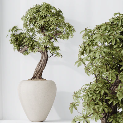 Indoor plant set 23 — Ver 4