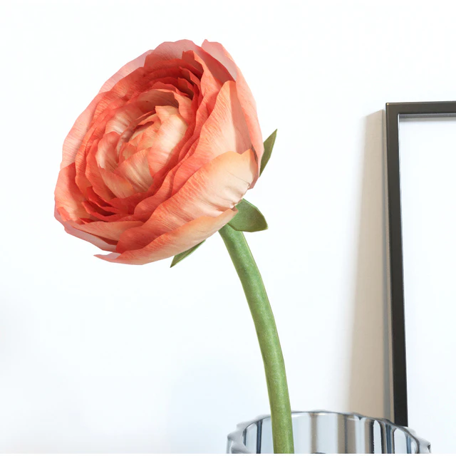 Decorative set — Descargar